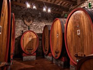 Visite in Cantina in Toscana